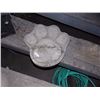 Image 1 : CONCRETE - PAW - LARGE