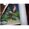 Image 1 : ROLL OF FISH TANK BACK DROP PAPER