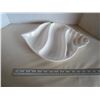 Image 2 : White sea shell divided dish tray