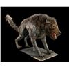 Image 3 : 300 (2006) - Wolf Stand-In Puppet
