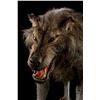 Image 5 : 300 (2006) - Wolf Stand-In Puppet