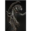 Image 10 : ALIENS (1986) - Alien Creature Costume