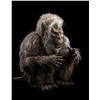 Image 8 : CREEPSHOW (1982) - Fluffy Costume and Display