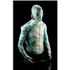 Image 1 : HELLBOY II: THE GOLDEN ARMY (2008) - Abe Sapien (Doug Jones) Prosthetic Appliance Bust Display