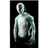 Image 2 : HELLBOY II: THE GOLDEN ARMY (2008) - Abe Sapien (Doug Jones) Prosthetic Appliance Bust Display