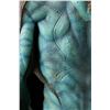Image 4 : HELLBOY II: THE GOLDEN ARMY (2008) - Abe Sapien (Doug Jones) Prosthetic Appliance Bust Display
