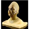 Image 2 : HOW THE GRINCH STOLE CHRISTMAS (2000) - The Grinch Make-Up Test Bust