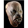 Image 1 : MICHAEL JACKSON: THRILLER (1983) - Michael Jackson “Cat-Face” Paint-Test Mask