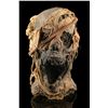 Image 2 : MUMMY, THE (1999) - Screaming Mummy Head