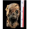 Image 8 : MUMMY, THE (1999) - Screaming Mummy Head