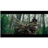 Image 24 : PREDATORS (2010) - SFX Predator Hell-Hound Puppet