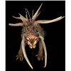 Image 9 : PREDATORS (2010) - SFX Predator Hell-Hound Puppet