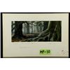 Image 1 : WILLOW (1988) - Matte Painting Study - Willow in the Forest