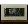 Image 6 : WILLOW (1988) - Matte Painting Study - Willow in the Forest