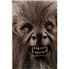 Image 5 : WOLFMAN, THE (2010) - Sir John Talbot Werewolf Mask