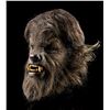 Image 2 : WOLFMAN, THE (2010) - Lawrence Talbot Wolfman Mask