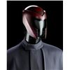 Image 4 : X-MEN (2000) - Magneto (Ian McKellen) Helmet and Tunic