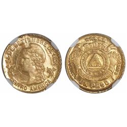 Honduras, 1 peso, 1896, encapsulated NGC MS 64, finest known in NGC census, ex-Richard Stuart (desig