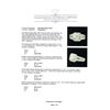 Image 5 : 2.89 ctw Diamond Ring - 18KT White Gold