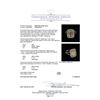 Image 5 : EGL USA Cert 5.84 ctw Fancy Yellow Diamond Ring - 18KT-Platinum Two-Tone Gold