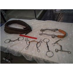 Lot Of Horse Tack