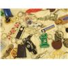 Image 3 : Key Chain Collection (~40)