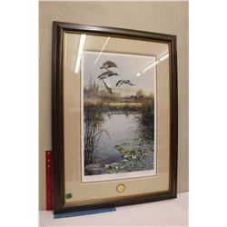 Ducks Unlimited Print "On The Wing" (By Andrew Kiss)(38"x27")