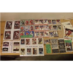 Lot of 1990's Hockey Cards
