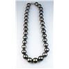 Image 3 : Very Important Natural Tahitian (French  Polynesia) South Sea Pearl necklace averaging  11.00 -15.00