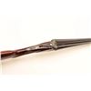 Image 11 : Abesser & Merkel SxS hammerless engraved  shotgun, 12 gauge, 12 gauge, 30” barrels,  blued finish to