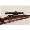 Image 7 : Mauser Commercial bolt action rifle, 7mm  caliber, 22” barrel, blued finish, checkered  wood stock w