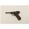 Image 9 : Erfurt 1917 Luger semi-automatic pistol, 9mm  caliber, 4” barrel, blued finish, checkered  wood grip