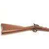 Image 1 : Cut-down U.S. Springfield Allin conversion  rifle, .50 caliber, 27” barrel, wood stock,  no visible 
