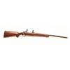 Image 12 : Ruger Model 77 rifle with 24” bull or heavy  barrel and factory chambered for .280  Remington or 7mm