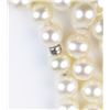 Image 1 : Incredible ladies ‘TIFFANY’ natural Pearl  strand of 80 inches in length averaging 8.00  MM in diame