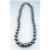 Image 2 : Important Natural Tahitian South Sea Pearl  necklace  graduating from 10.00 MM to 14.00  MM in diame