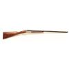 Image 17 : Beautiful Italian Fausti round body SxS  hammerless shotgun, finely engraved receiver,  20 gauge, 28
