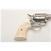 Image 6 : Colt SAA revolver, Special Order, .44-40  caliber, 5.5” barrel, nickel finish,  blackpowder frame st