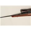 Image 15 : Browning special order bolt action rifle made  in Belgium in .243 caliber with Leupold 3x9  variable