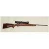 Image 1 : Browning special order bolt action rifle made  in Belgium in .243 caliber with Leupold 3x9  variable