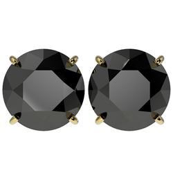 5.15 CTW Fancy Black VS Diamond Solitaire Stud Earrings 10K Yellow Gold - REF-120R5K - 36716