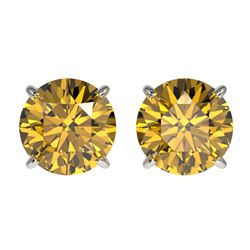 2.04 CTW Certified Intense Yellow SI Diamond Solitaire Stud Earrings 10K White Gold - REF-309K3R - 3