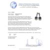 Image 3 : 14KT Whtie Gold 8.17ctw Sapphire and Diamond Earrings