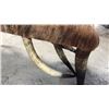 Image 2 : 4ft X 18" Longhorn Steer Bench