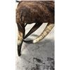 Image 2 : 3ft X 18" Longhorn Steer Bench