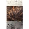 Image 4 : 3ft X 18" Longhorn Steer Bench