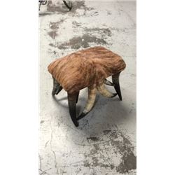 2ft X 18" Longhorn Steer Footstool/bench