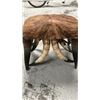 Image 2 : 2ft X 18" Longhorn Steer Footstool/bench