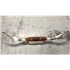Image 1 : 6ft Longhorn Steer Mount