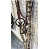 Image 2 : Fancy Gallery Bridle With Rawhide And Silver